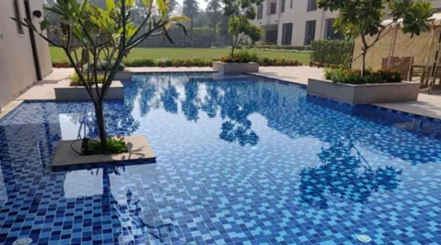 Swimming Pool Construction